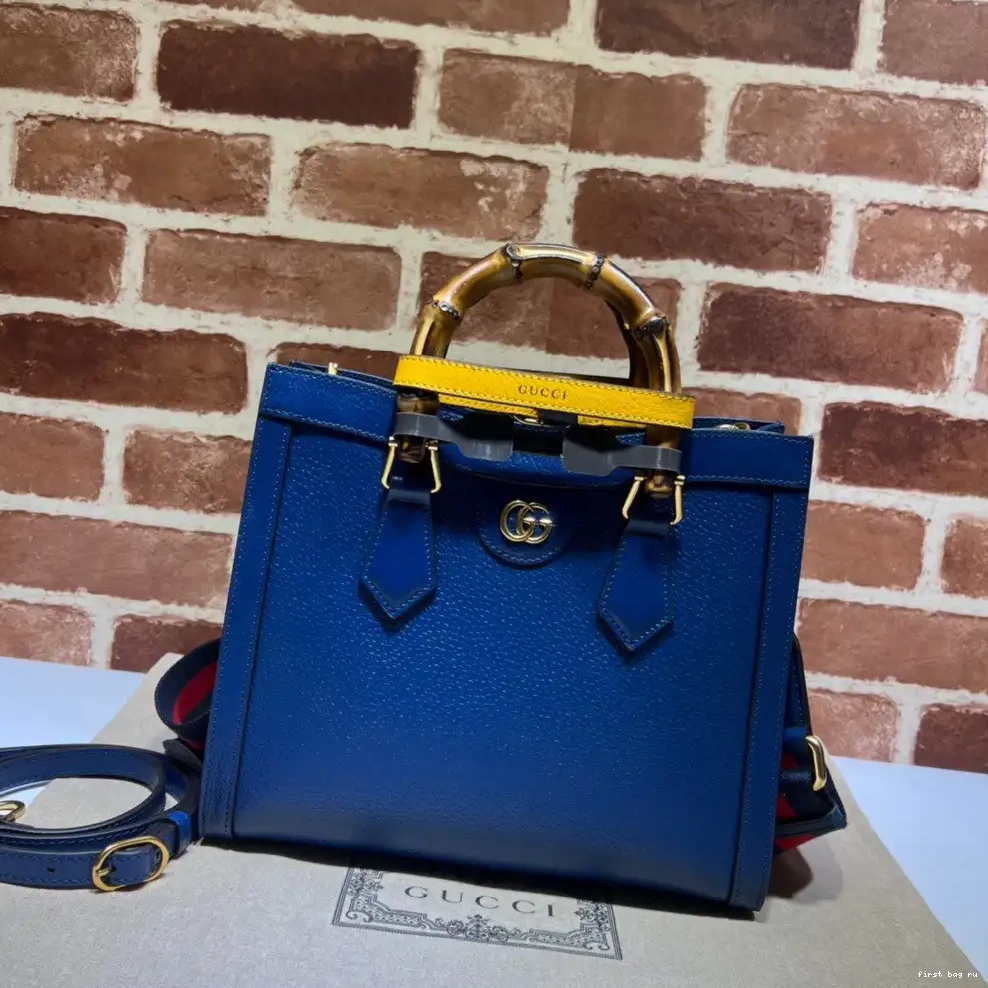 First bag ru Diana tote bag GUCCI small 0521